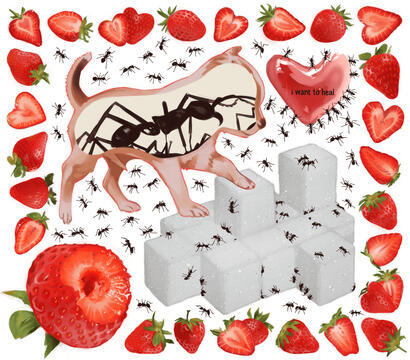 eat my heart out - 12.2024